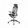   GTCHAIR GT Chair Dvary Pro X