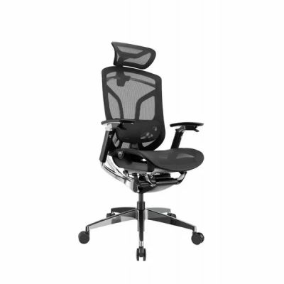   GTCHAIR GT Chair Dvary Pro X -      - "  "