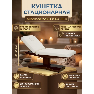 ������-������� Mizomed 2238T - ������ �� ����������� ���� � ��������-�������� "��� � ����"