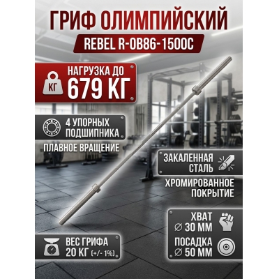 ���� ��� ������ REBEL R-OB86-1500� �� 679 ��, � ������� ����������� - ������ �� ����������� ���� � ��������-�������� "��� � ����"