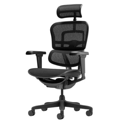 ������������ ������ Falto Ergohuman 2 Ultra �����, ������ - ������ �� ����������� ���� � ��������-�������� "��� � ����"