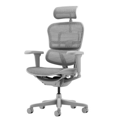 ������������ ������ Falto Ergohuman 2 Ultra �����, ����� - ������ �� ����������� ���� � ��������-�������� "��� � ����"