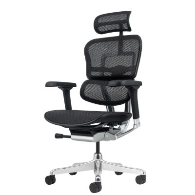 ������������ ������ Falto Ergohuman 2 Elite �����, ������ - ������ �� ����������� ���� � ��������-�������� "��� � ����"