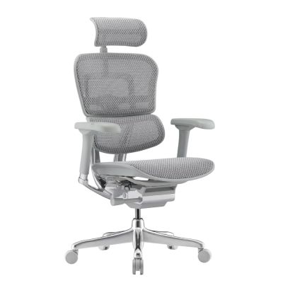 Эргономичное кресло Falto Ergohuman 2 Elite сетка, серый - купить по специальной цене в интернет-магазине "Уют в доме"