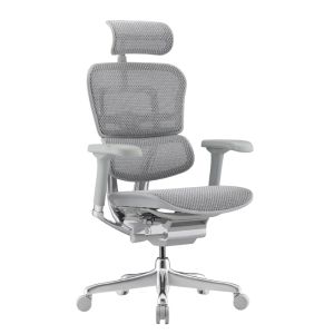 ������������ ������ Falto Ergohuman 2 Elite �����, �����