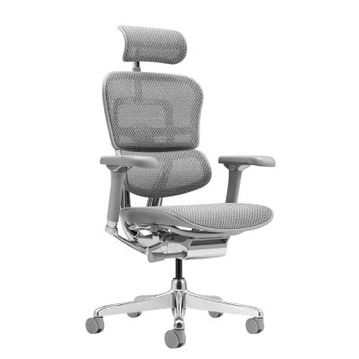 ������������ ������ Falto Ergohuman 2 Luxury ����� , ����� - ������ �� ����������� ���� � ��������-�������� "��� � ����"