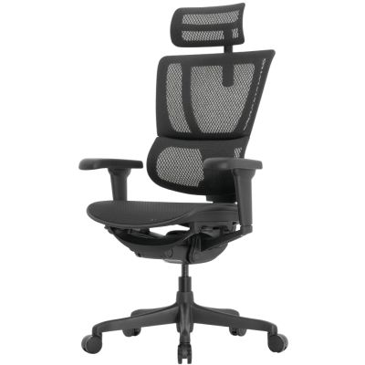 ������������ ������ Falto IOO Ultra �����, ������ - ������ �� ����������� ���� � ��������-�������� "��� � ����"