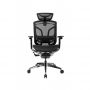 Премиум эргономичное кресло GTCHAIR Chair Dvary X Pro, чёрный
