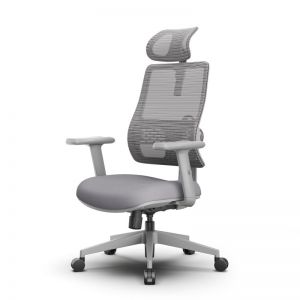 ������������ ������������ ������ FoxGear NETZ One, DGGY, �����