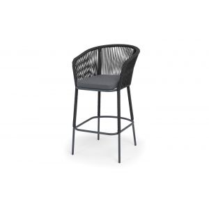 ������� ������ 4SIS �������