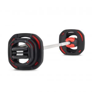 �������� ������ � ������� REBEL ����-������ ��� �������� 19,8 �� REBEL