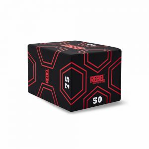 ����-��������� REBEL ��������������� ���� 3 � 1 REBEL