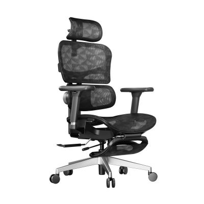 ������������ ������ FoxGear NETZ ������ XAir, ������ - ������ �� ����������� ���� � ��������-�������� "��� � ����"