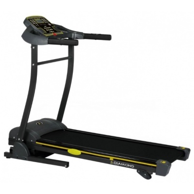    Diamond Fitness Audio 1.9 -      - "  "