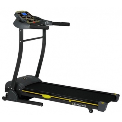    Diamond Fitness Audio 2.6 -      - "  "