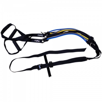  Wayflex FTS -      - "  "