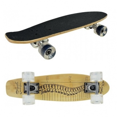   METEOR SPINE 409359 -      - "  "