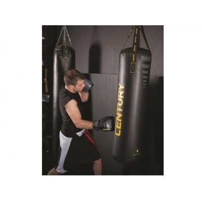    Century Brave -      - "  "