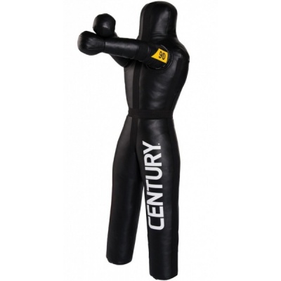    Century 41  -      - "  "