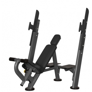 Скамья для жима Spirit Fitness AFB101 Скамья для жима Spirit Fitness AFB101