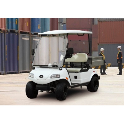      Smart Elcar Express 2 -      - "  "