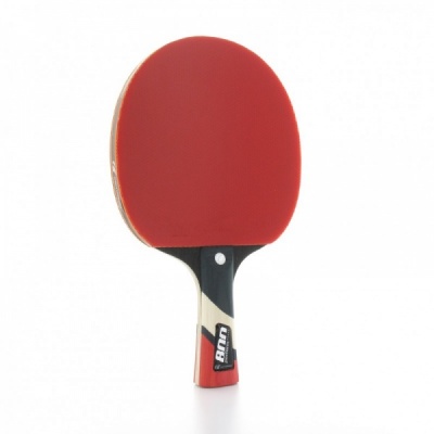   Cornilleau Perform 800 -      - "  "