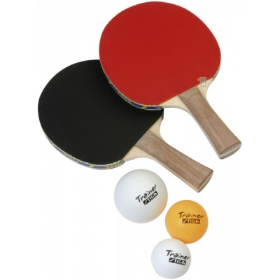    Stiga Technique -      - "  "