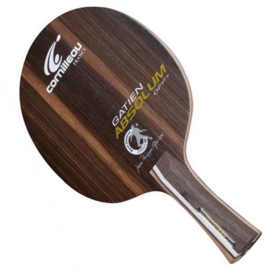    Cornilleau Gatien Absolum  -      - "  "