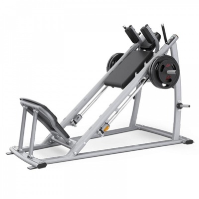 Рычажный тренажер Matrix MAGNUM MG-PL71 - купить по специальной цене в интернет-магазине "Уют в доме"