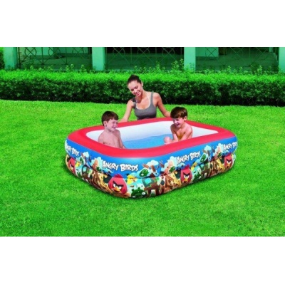   Bestway Angry Birds 96109 201  150  51 -      - "  "