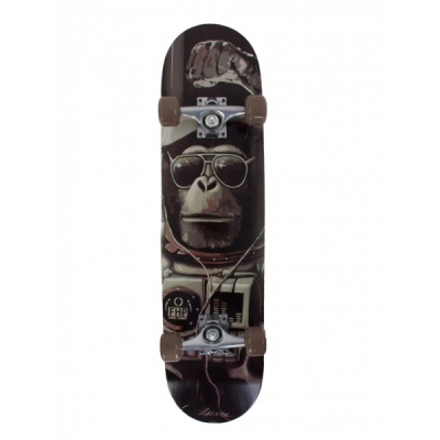  Larsen PARK 2 31"8" -      - "  "