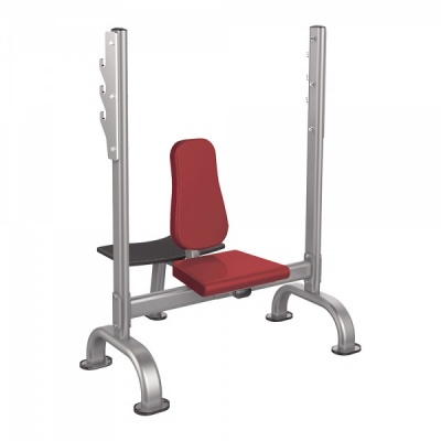      AeroFIT IT7031 -      - "  "