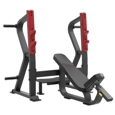      AeroFIT SL7029 -      - "  "