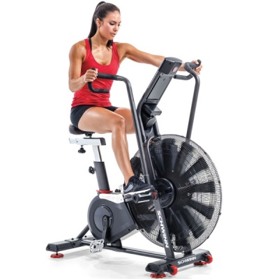 Домашний велотренажер Schwinn Airdyne AD8 - купить по специальной цене в интернет-магазине "Уют в доме"