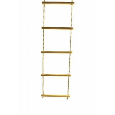  Kampfer F0000014378 -      - "  "