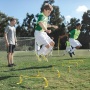   SKLZ 6x Hurdles