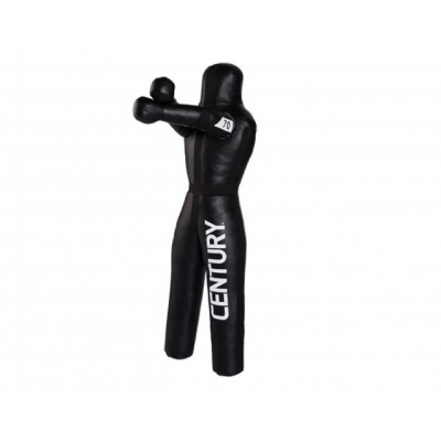    Century Century 41  -      - "  "