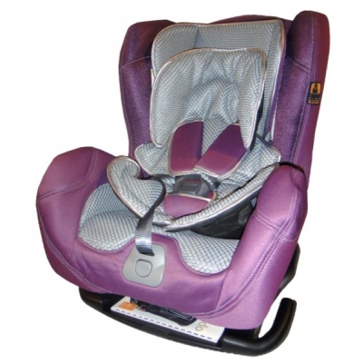   Bellelli Leonardo petunia -      - "  "