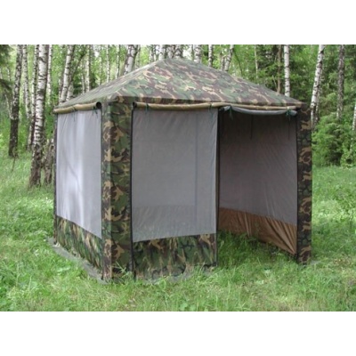    3.03.0 ( ) -      - "  "