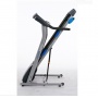    Royal Fitness RF-3